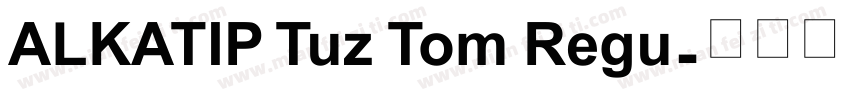 ALKATIP Tuz Tom Regu字体转换